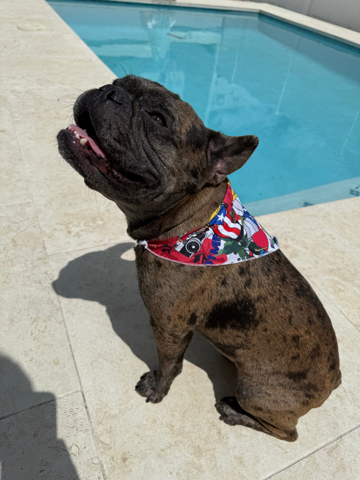 BAD BUNNY PET BANDANA