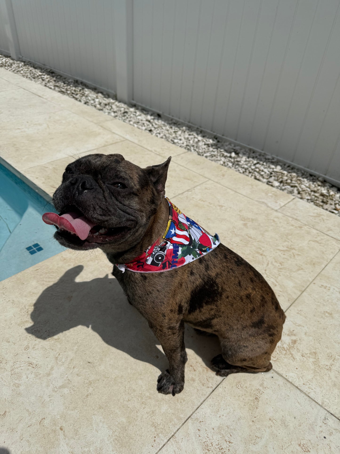 BAD BUNNY PET BANDANA